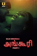 Angoori Season 1 Part 1 (2023) HDRip Hindi